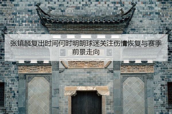 张镇麟复出时间何时明朗球迷关注伤情恢复与赛季前景走向
