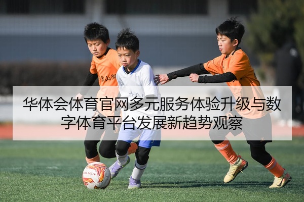华体会体育官网多元服务体验升级与数字体育平台发展新趋势观察